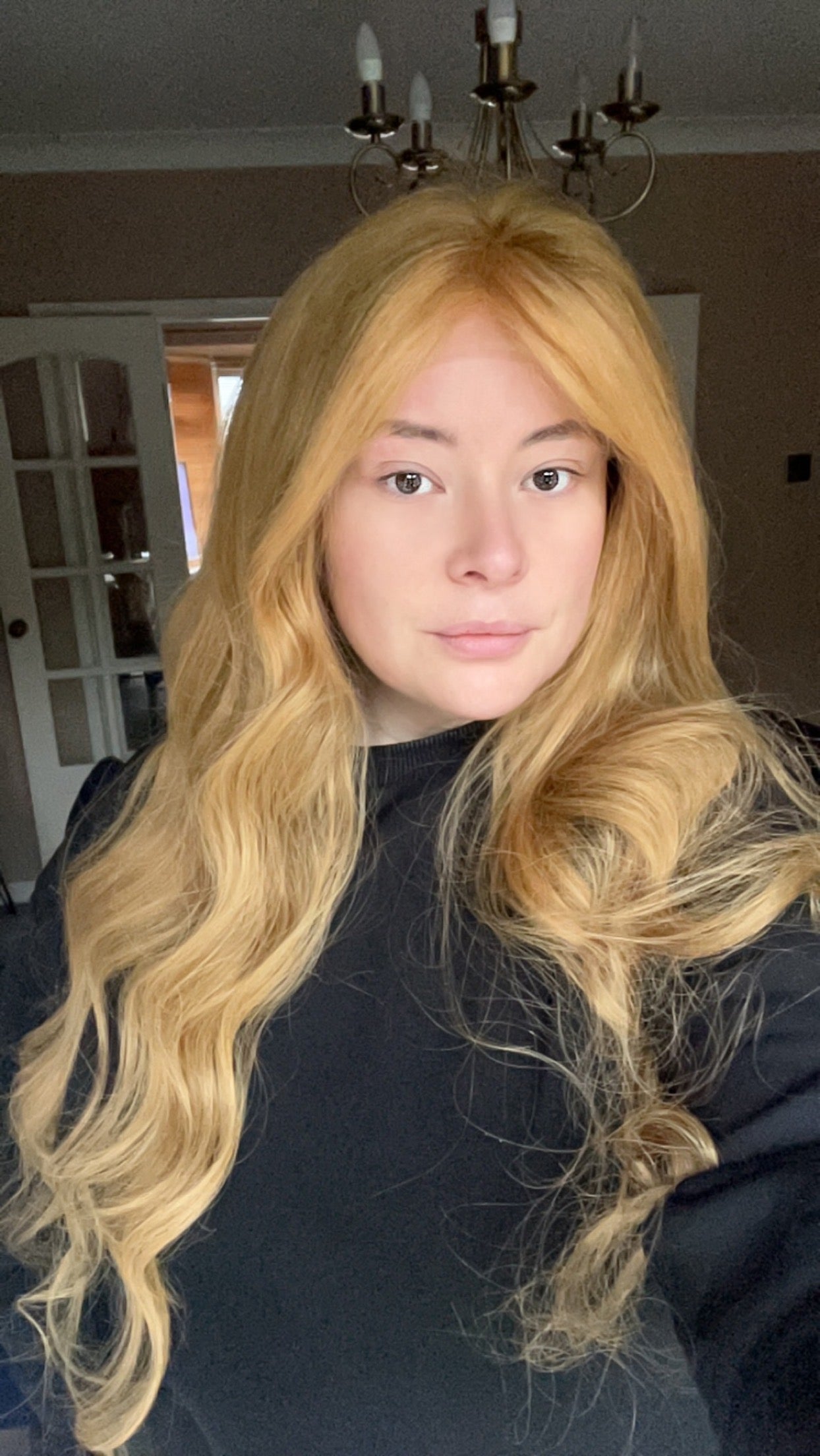 Louise - Lace Front Wig