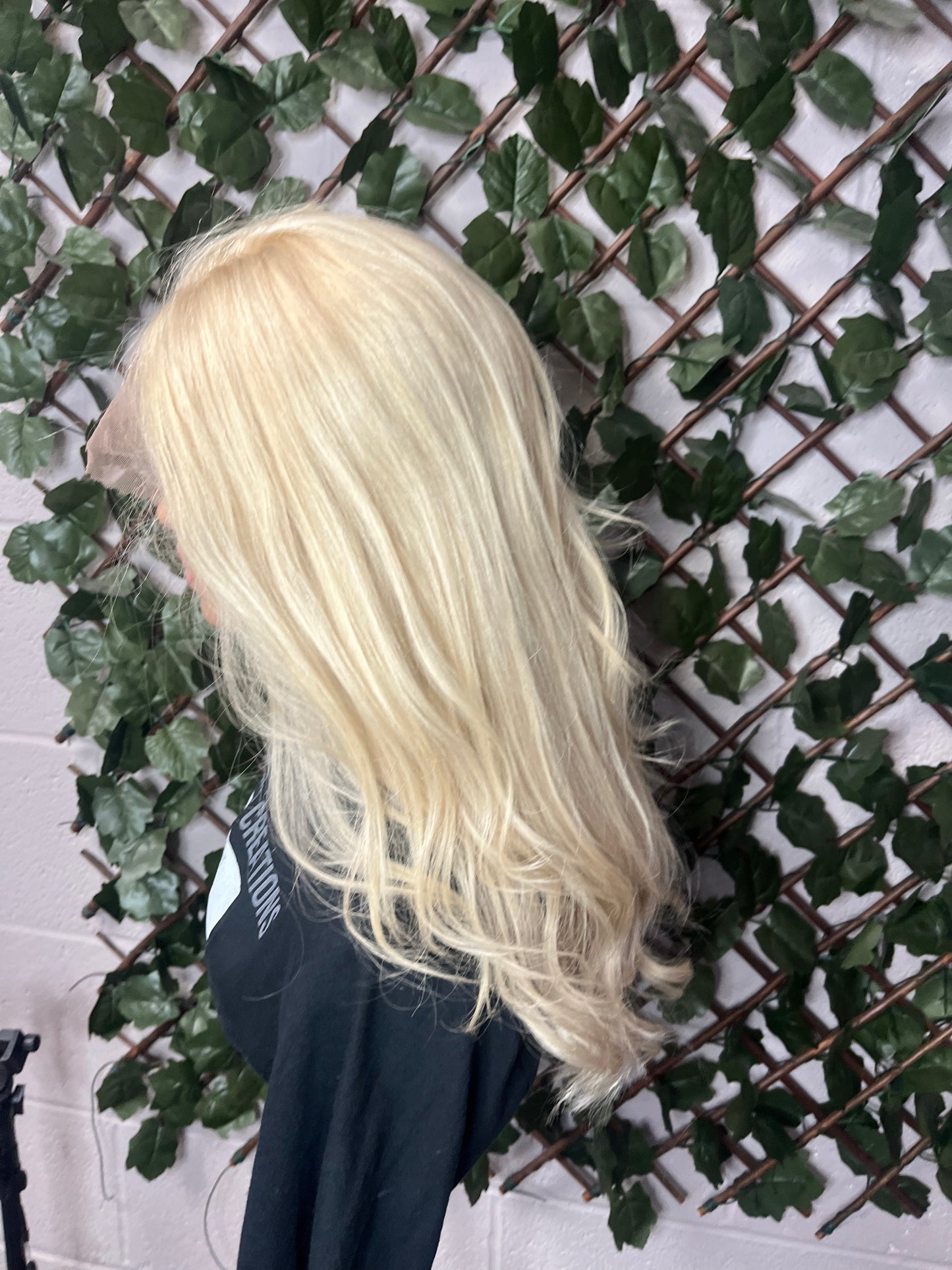 Hayley - Lace Front Wig